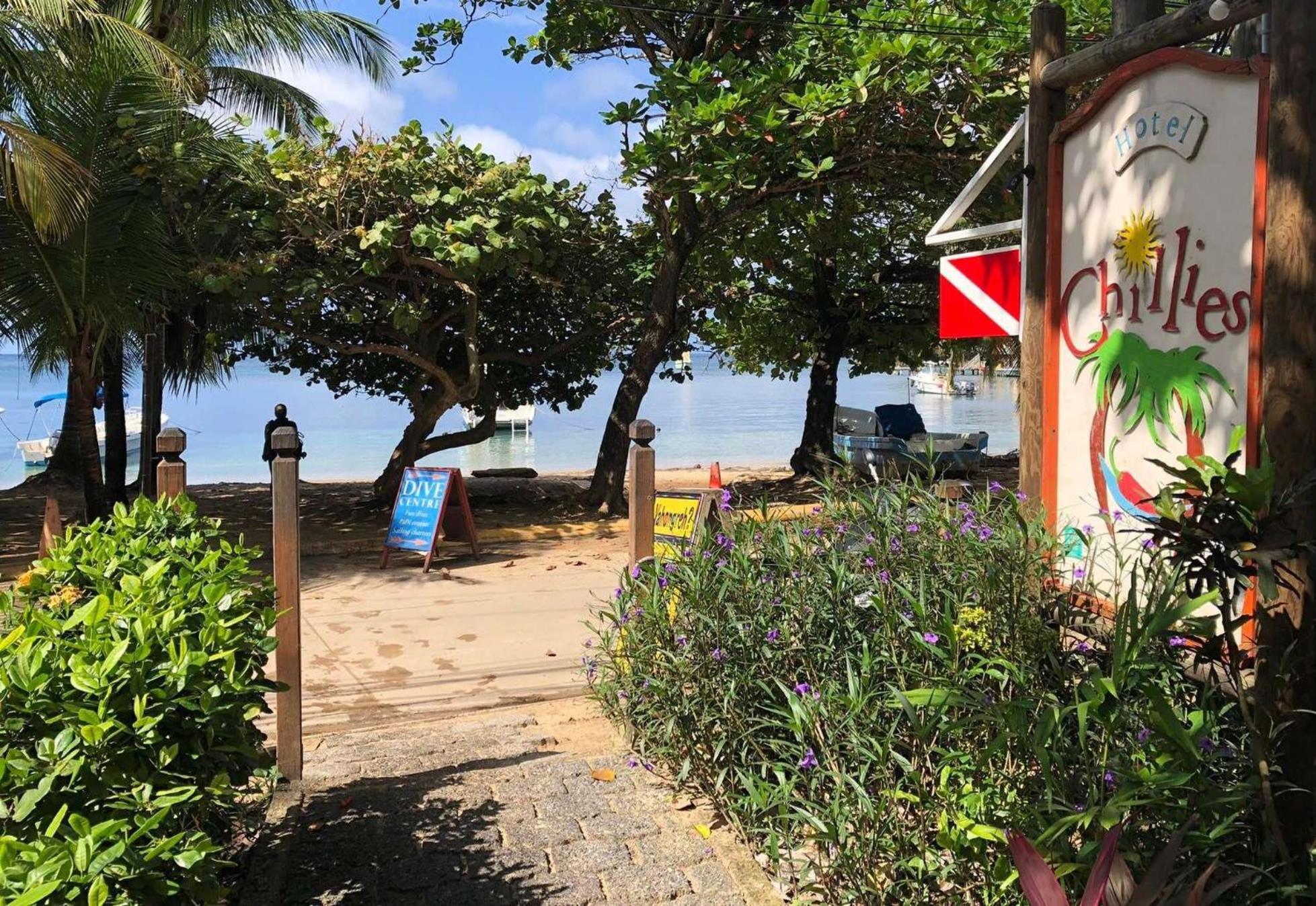 Hotel Chillies And Native Sons Diving West End Εξωτερικό φωτογραφία
