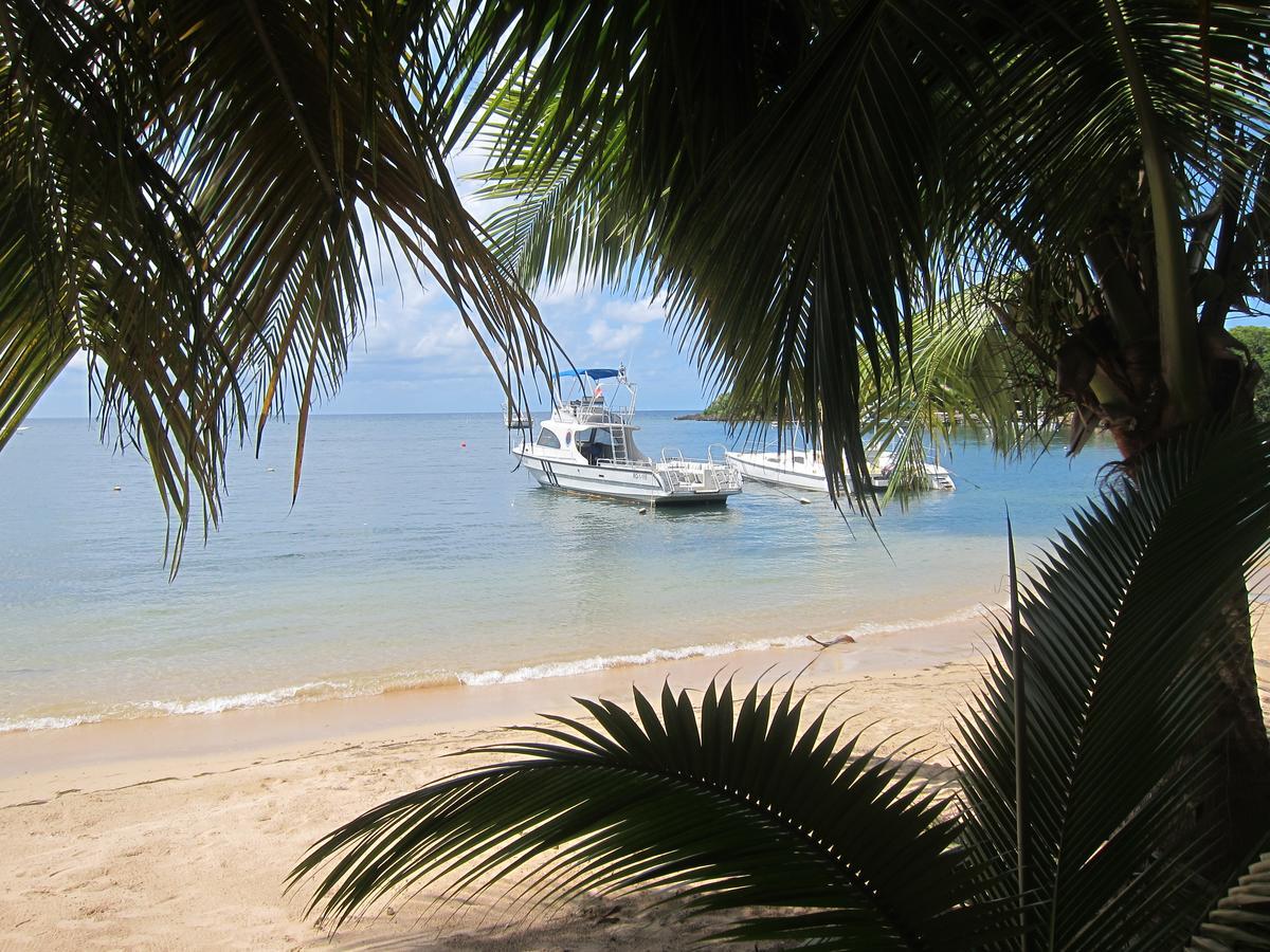 Hotel Chillies And Native Sons Diving West End Εξωτερικό φωτογραφία